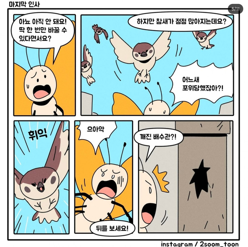 005.jpg