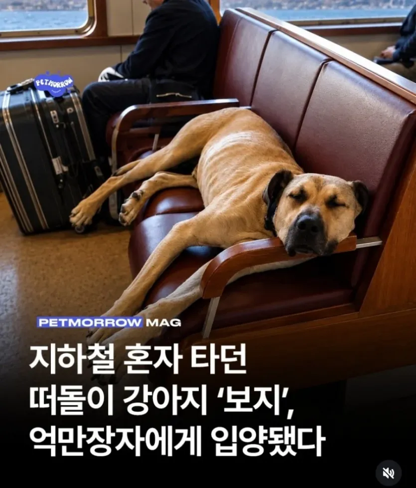 db3b73493ed09ffcfbac730be546efb8.webp